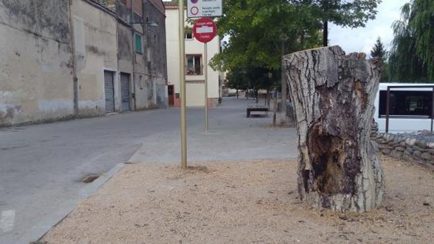 Salt retira una noguera del Parc Monar per seguretat