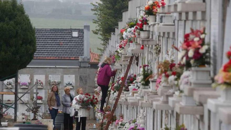 Una mujer coloca flores en un nicho del cementerio de La Carriona.