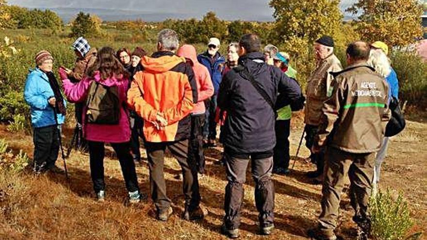 Micológos de Estados Unidos estudian la singularidad del boletus asociado a la jara