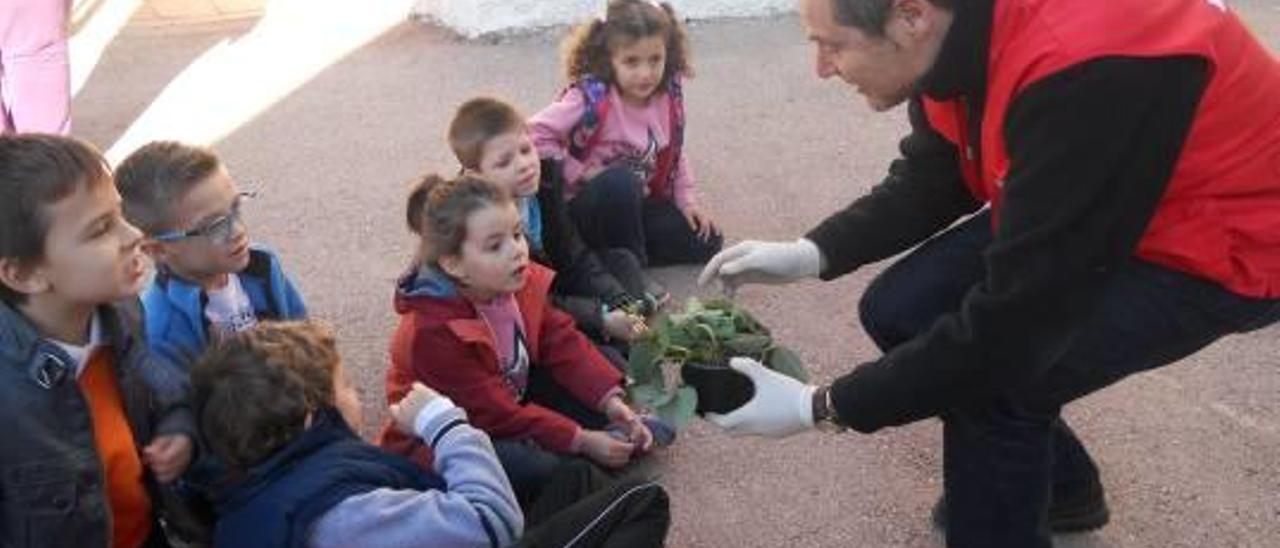 En el colegio público Joanot Martorell de Santa Pola, con la ayuda de madres de alumnos, el voluntariado de Cruz Roja y bajo la dirección de Javier Torralb, se plantó la semana pasada el huerto que tiene a los niños y niñas ilusionados y felices. Auque la aventura empieza ahora...