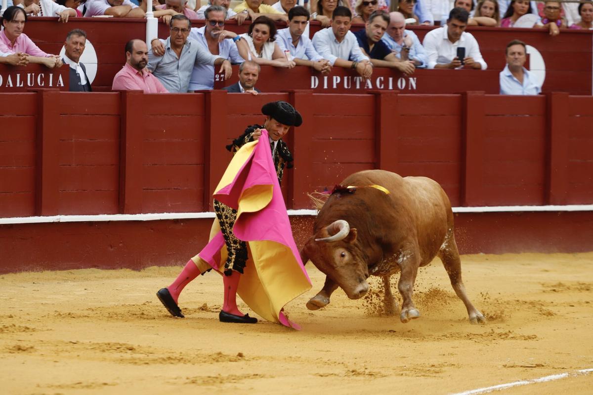 Imágenes de la corrida de toros celebrada en La Malagueta el lunes 18 de agosto de 2025