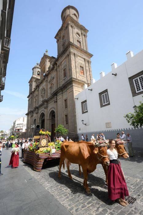 Romería del Rosario.Vegueta  | 29/09/2019 | Fotógrafo: Tony Hernández