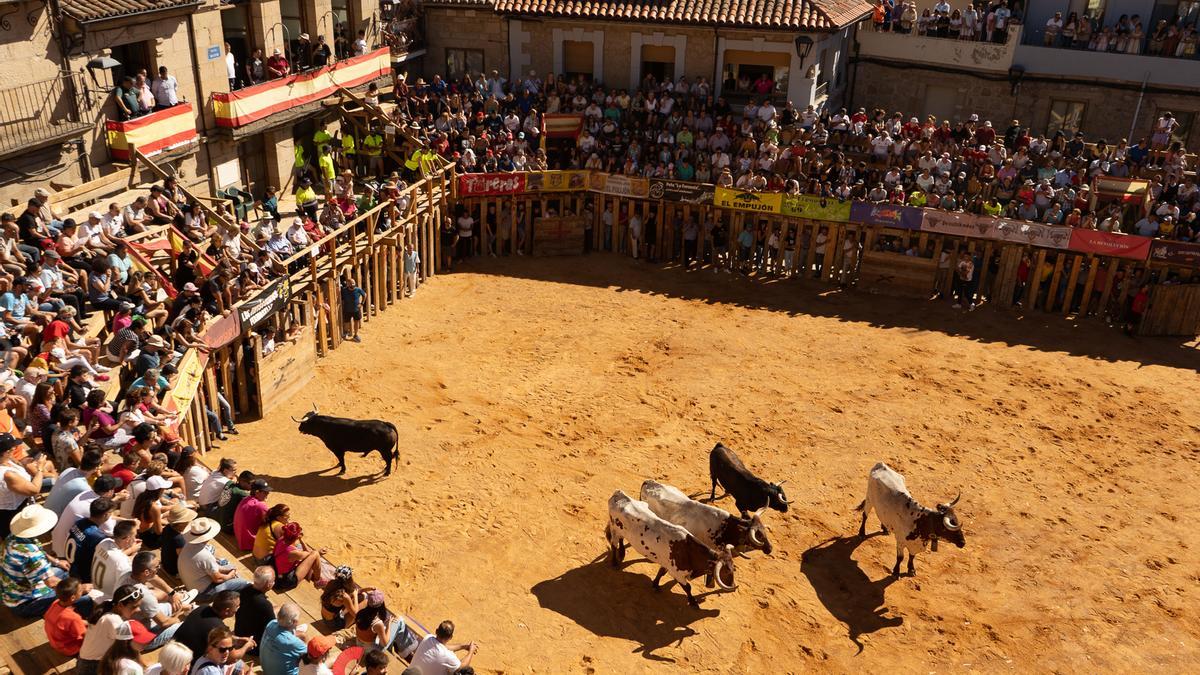 Encierro en Fermoselle