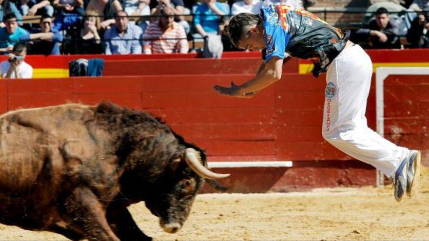 Todos los carteles de la reapertura de la plaza de toros de Valencia en noviembre