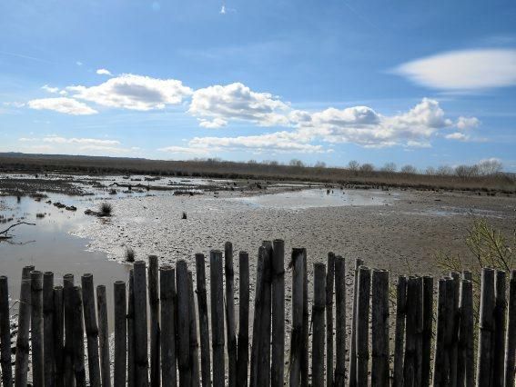 Albufera