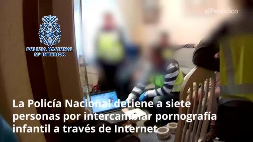 Siete detenidos por intercambiar porno infantil en la red