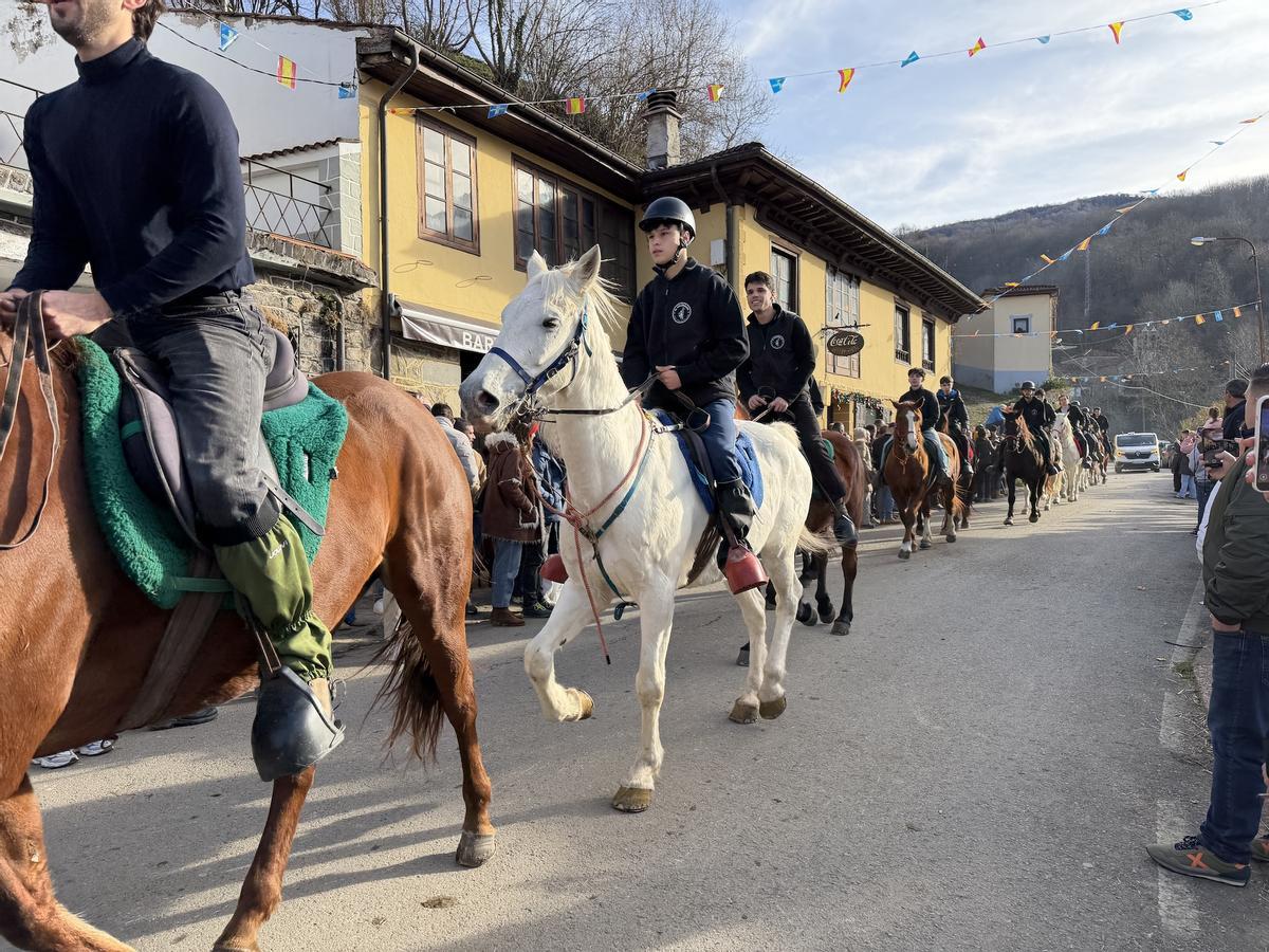 El guirria reaparece por el Año nuevo en Beleño
