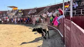Tres eralas para jóvenes taurinos