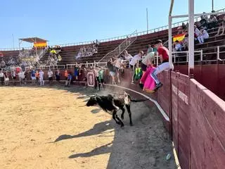 VÍDEO | Comienza la semana de Fiestas del Toro en Benavente con una suelta de vaquillas