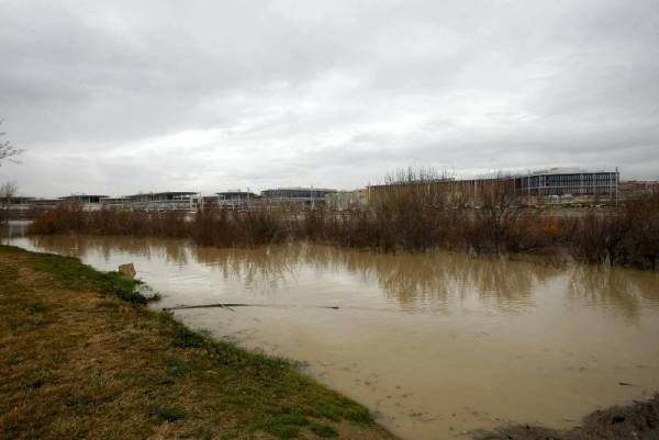 Fotogalería: Crecida en el río Ebro