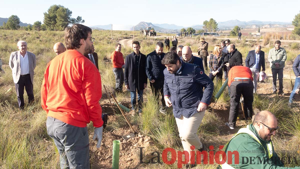 Bosque Disfrimur