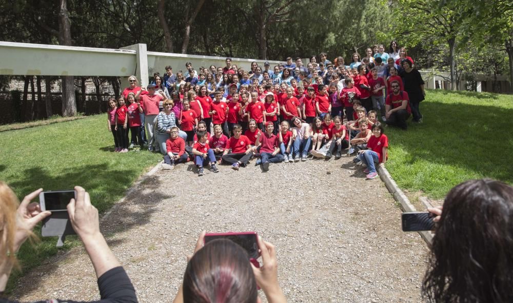 Primavera educativa en Valencia