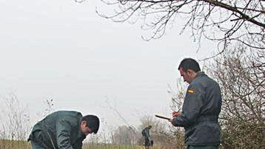 Agentes del Seprona durante una intervención.