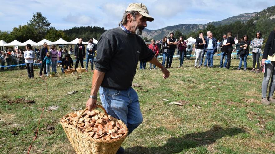 Concurs boletaire de Puigventós