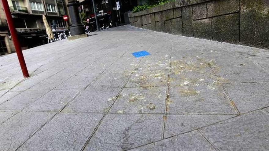 Deposiciones de pájaros, junto al altiguo Palacio de Justicia. //J. R.