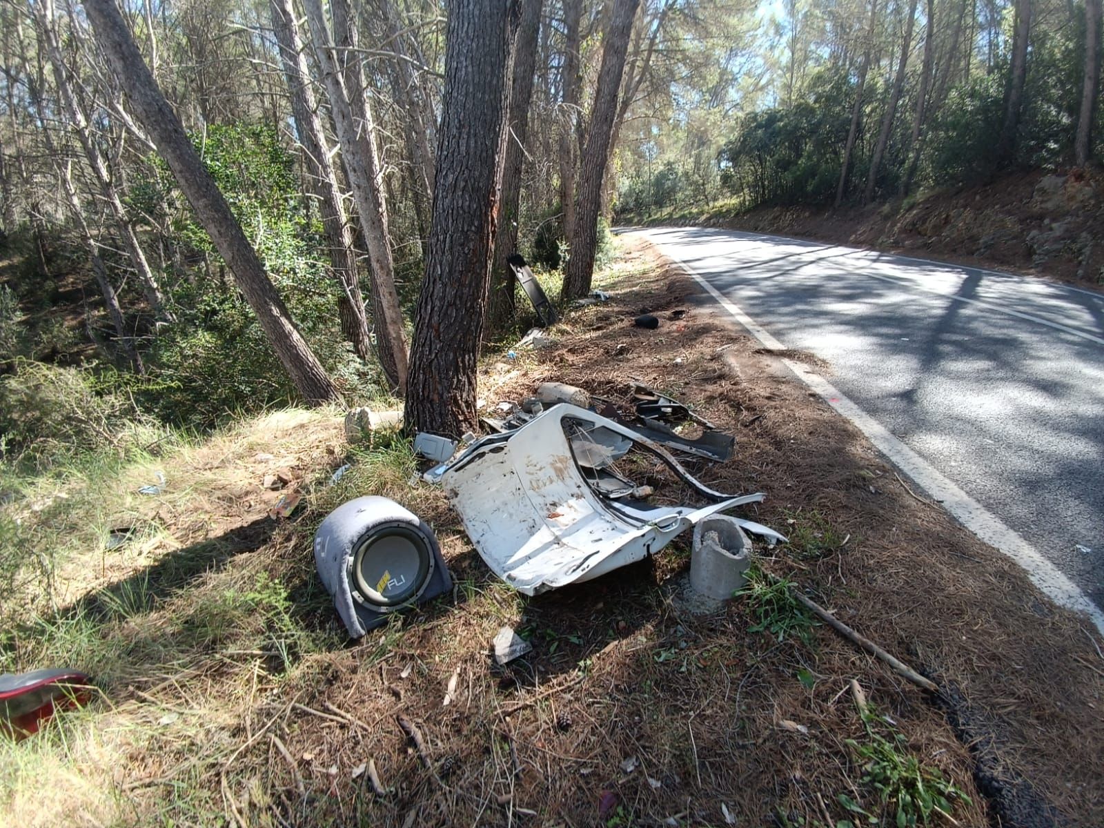 Dos jóvenes fallecen al chocar con su coche contra un árbol en la carretera de Puigpunyent