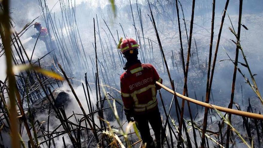 300 evacuados y 18 heridos leves en un incendio en Sintra