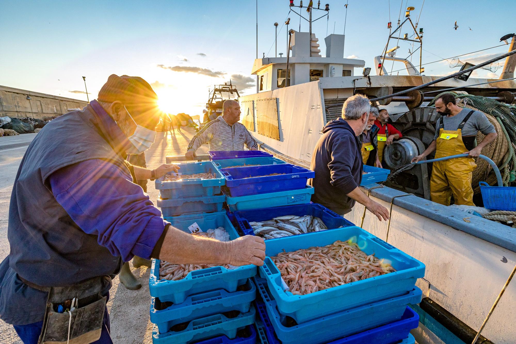 Pesca y Turismo en Villajoyosa