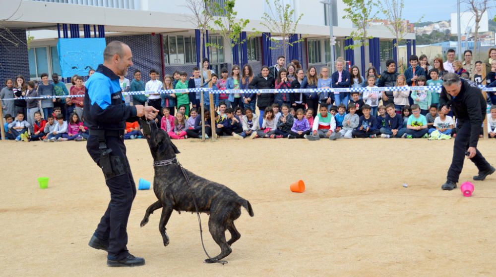 Exhibició de gossos policia