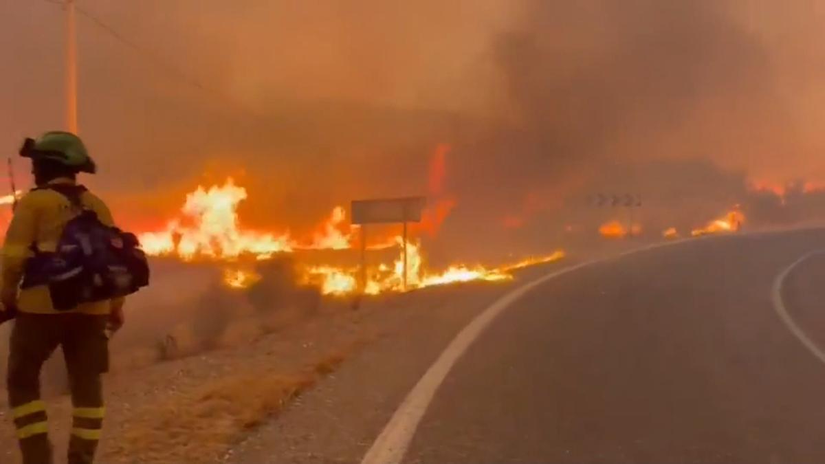 Tragedia en Los Gallardos: luchando contra el incendio