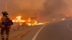 Tragedia en Los Gallardos: luchando contra el incendio