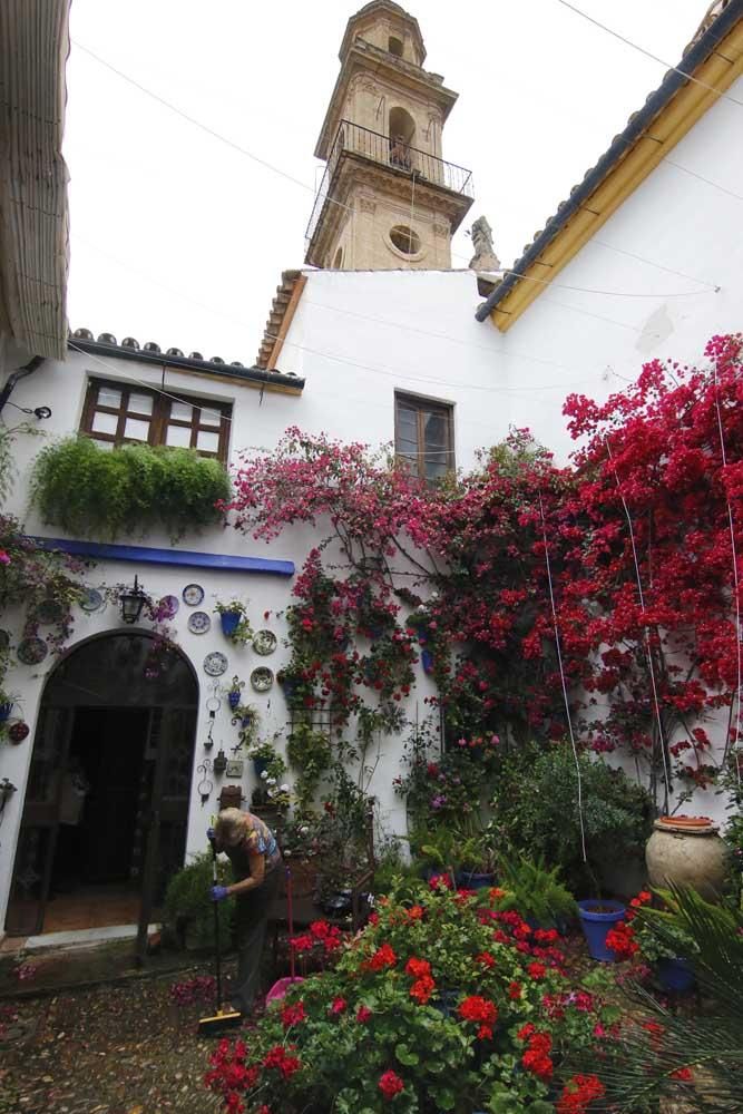 Los patios de Córdoba, San Lorenzo San Rafael