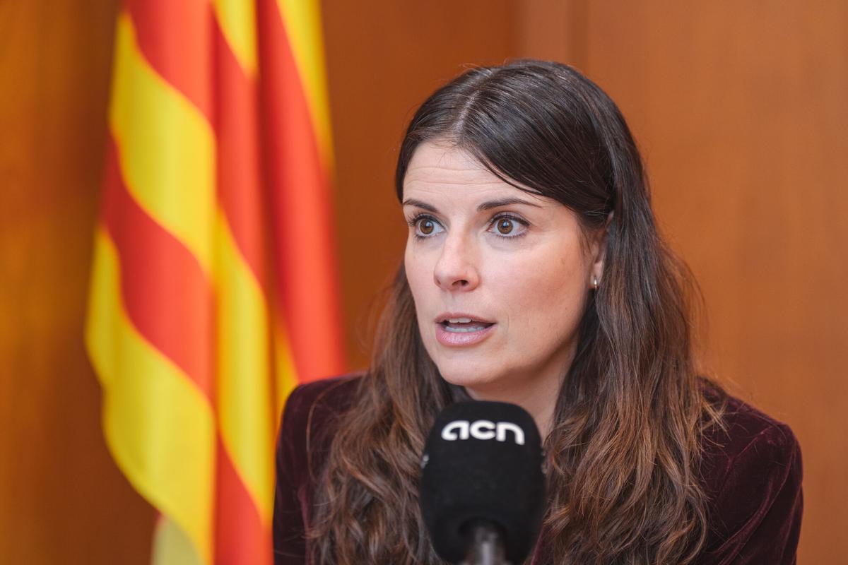 Junts "batallarà fins a l’últim moment" per un concert