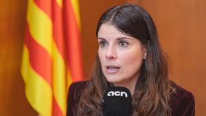 Junts "batallarà fins a l’últim moment" per un concert