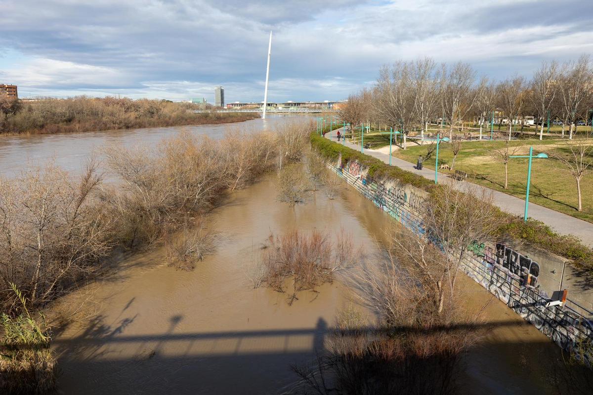En imágenes I Así está el río Ebro a su paso por Zaragoza este lunes