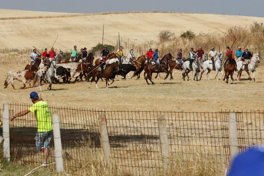 Fiestas en Zamora: Espantes en Fuentelapeña