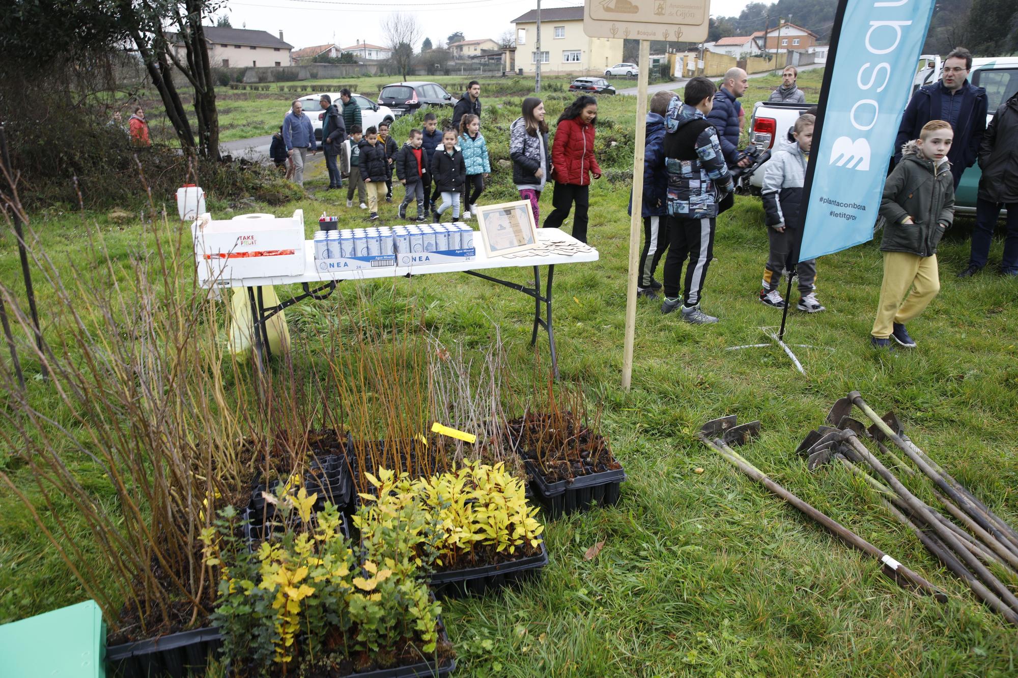 En imágenes: La alcaldesa de Gijón, en la plantación de árboles autóctonos en Somonte