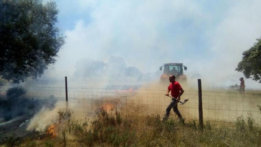 Un hombre interviene en el control del fuego en Palazuelo