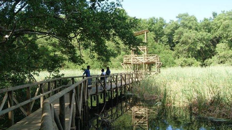 Un incendio afecta a una valiosa reserva de la biosfera en Colombia