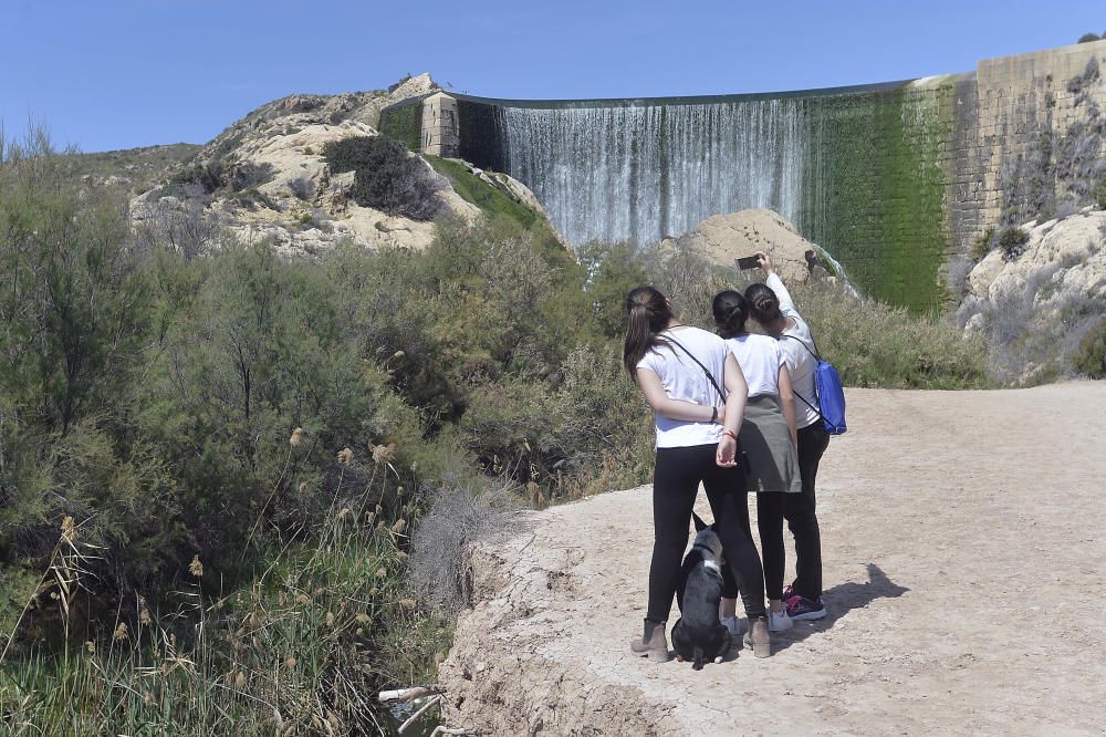 El Pantano de Elche