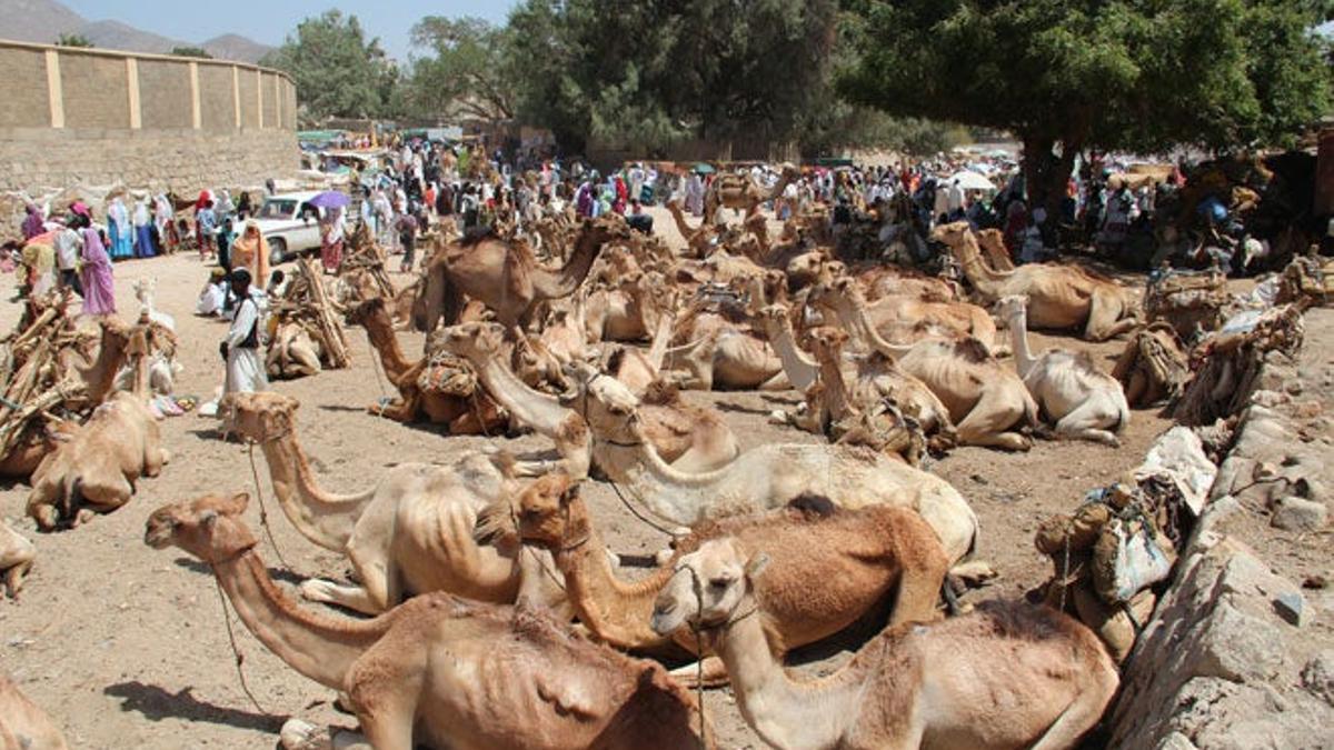 Eritrea, un lugar distinto de África