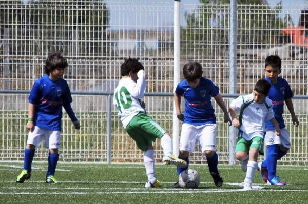 FÚTBOL: Utebo - Olivar (Benjamín)