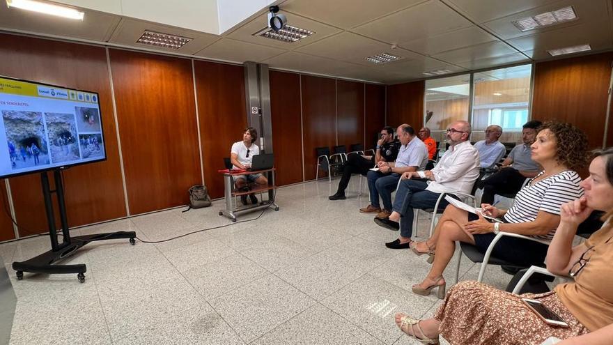 Imagen de la reunión, ayer, en la sede del Consell de Ibiza.