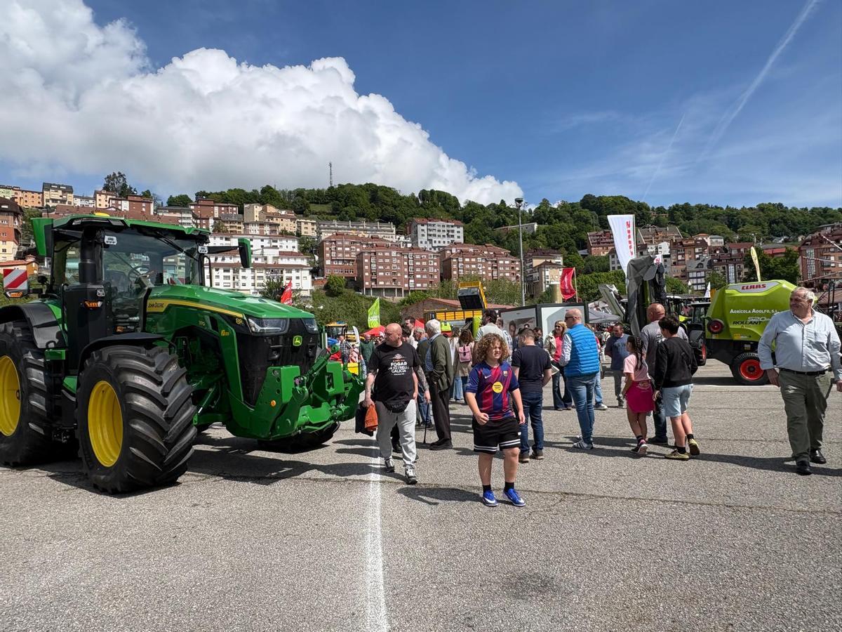 Lleno en el primer día de la Feria de Muestras de Tineo Lleno en el primer día de la Feria de Muestras de Tineo