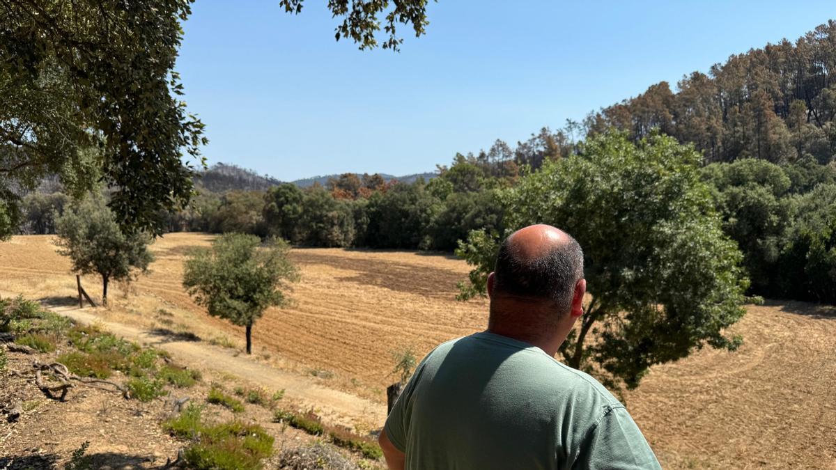 En Ramon Baltà mira el camp que ha impedit que les flames li cremessin la casa
