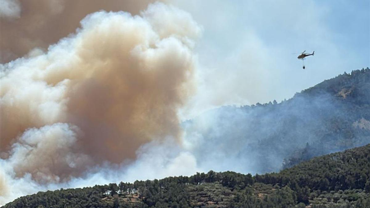 Incendi forestal a Paüls: confinats 3.000 veïns de quatre municipis del Baix Ebre per un foc d’«alta intensitat»