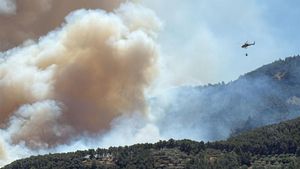 Incendio forestal en Paüls (Baix Ebre, Tarragona)