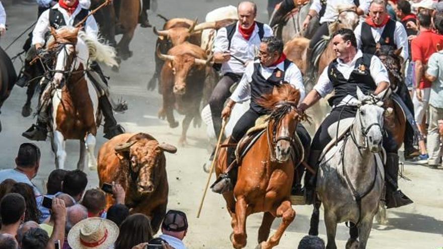 Queda desierta la segunda subasta para la comisión de toros de Segorbe