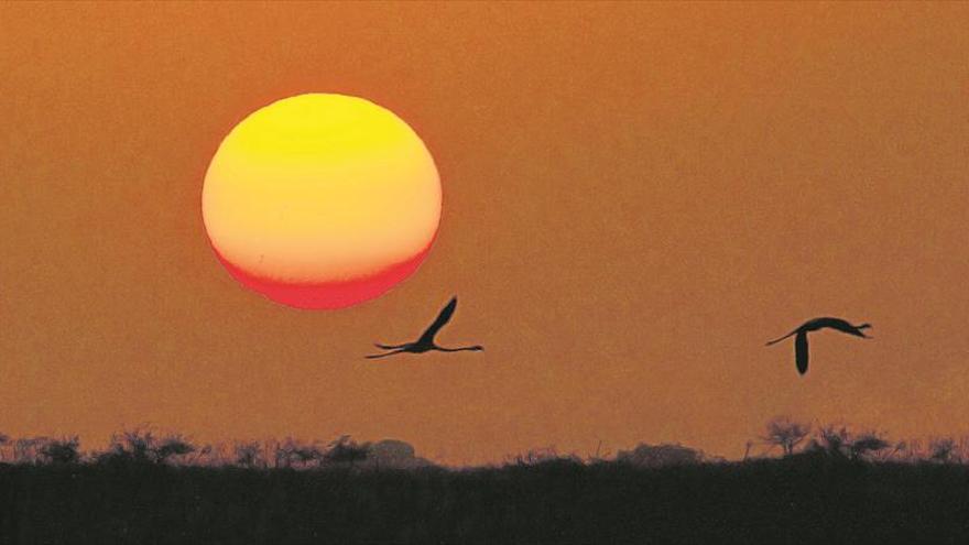 Extremadura, mirando al futuro