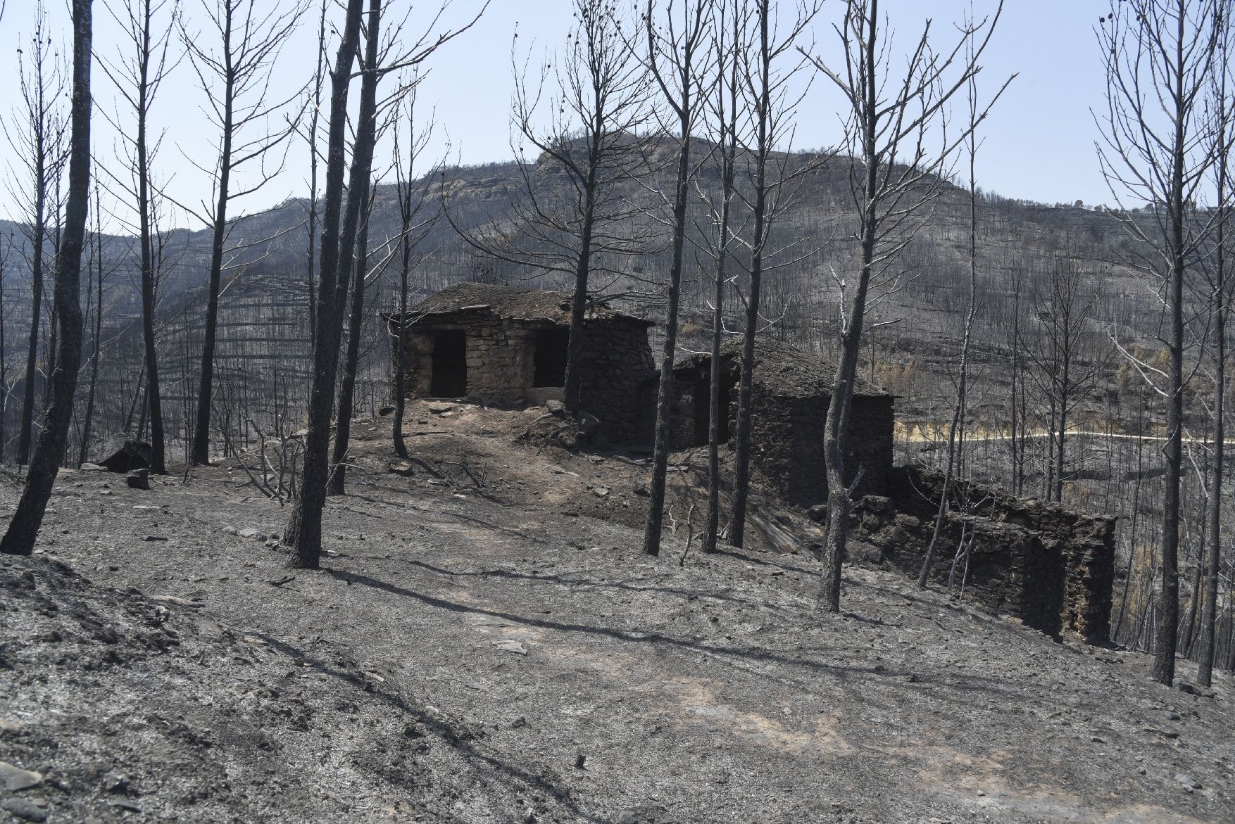 Així ha afectat el foc les tines de la Vall del Flequer