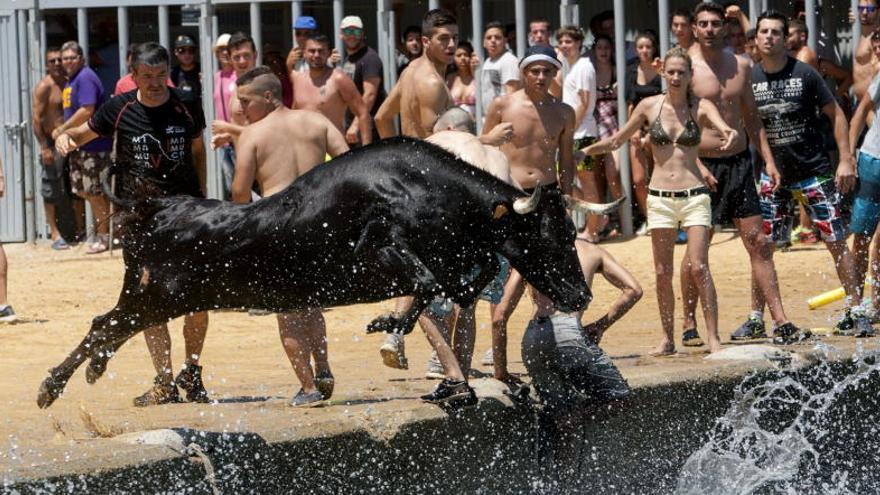 Los &quot;bous a la mar&quot; no se tocan en Dénia