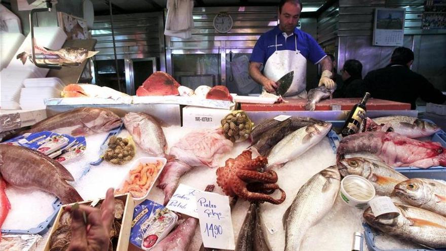 Los hogares españoles tiran a la basura 23 millones de kilos de pescado anuales