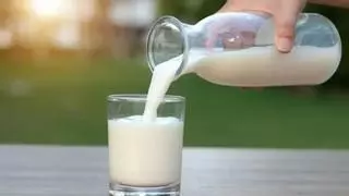 L'OCU es pronuncia: És millor la llet sencera o la semidesnatada?