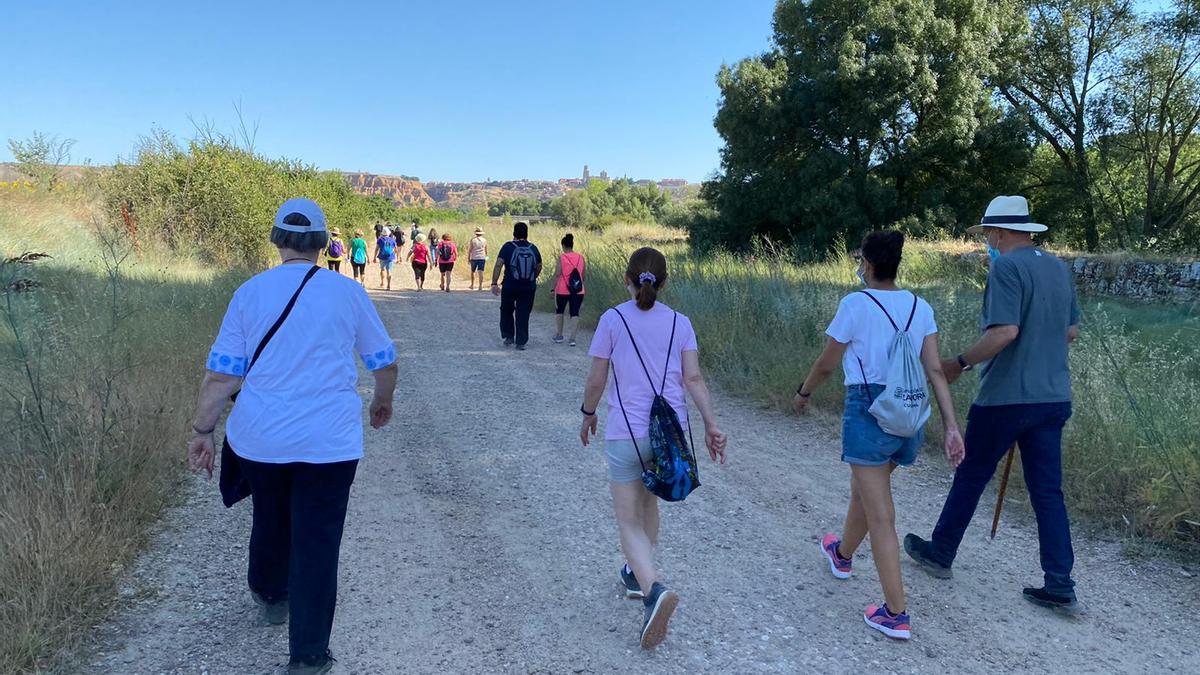 Participantes en la marcha transitan por un camino que conduce a Toro desde Timulos