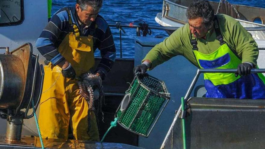 Un barco de Cambados que participa en la campaña del pulpo. // Iñaki Abella