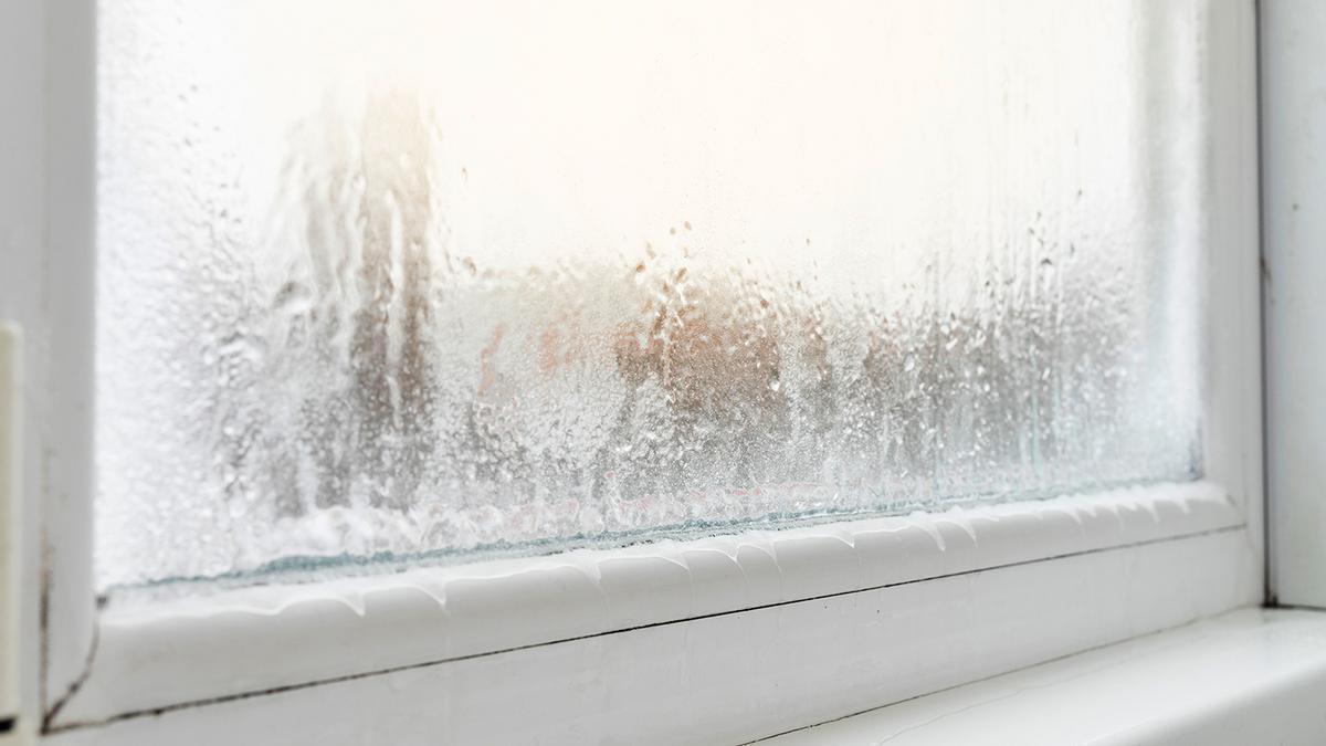 TRUCOS ELIMINAR HUMEDADES: Seis remedios caseros para eliminar las humedades  en casa
